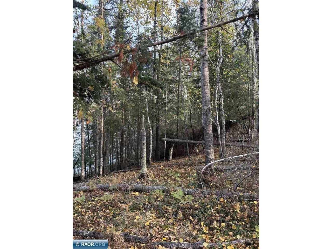 0000 Bass Lake Rd Gilbert MN 55741 - Bass Lake 149627 image35