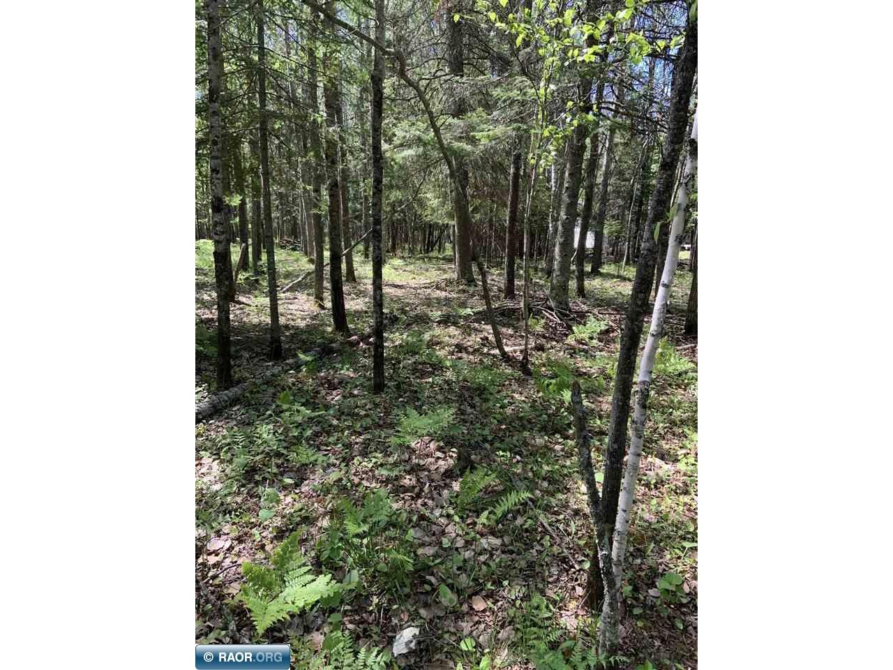 0000 Bass Lake Rd Gilbert MN 55741 - Bass Lake 149627 image36