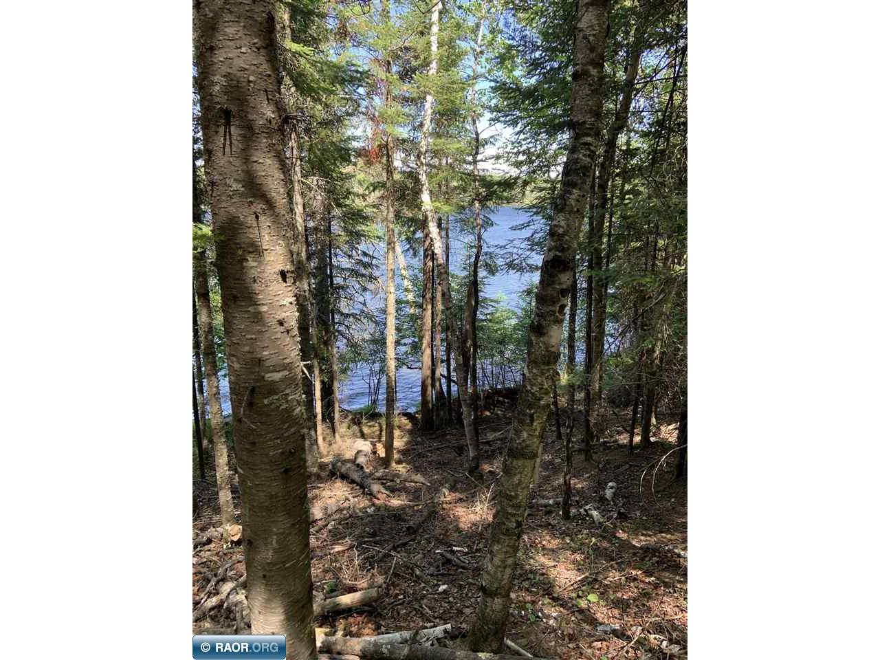 0000 Bass Lake Rd Gilbert MN 55741 - Bass Lake 149627 image38