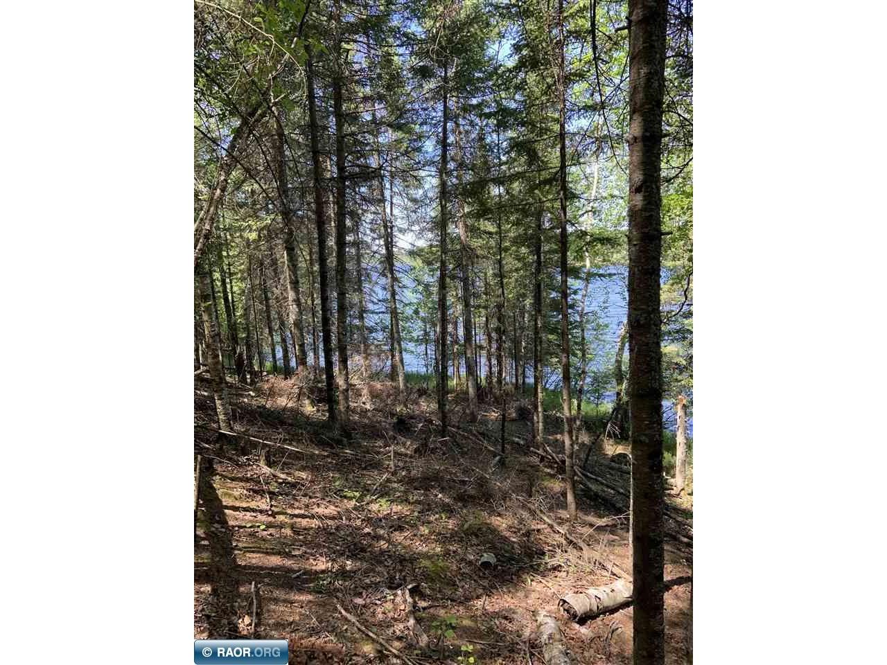 0000 Bass Lake Rd Gilbert MN 55741 - Bass Lake 149627 image39