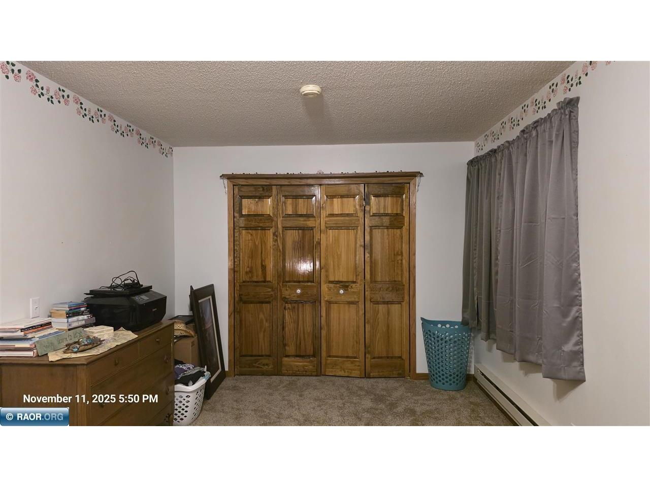 1008 Laurel Street Littlefork MN 56653 149311 image23