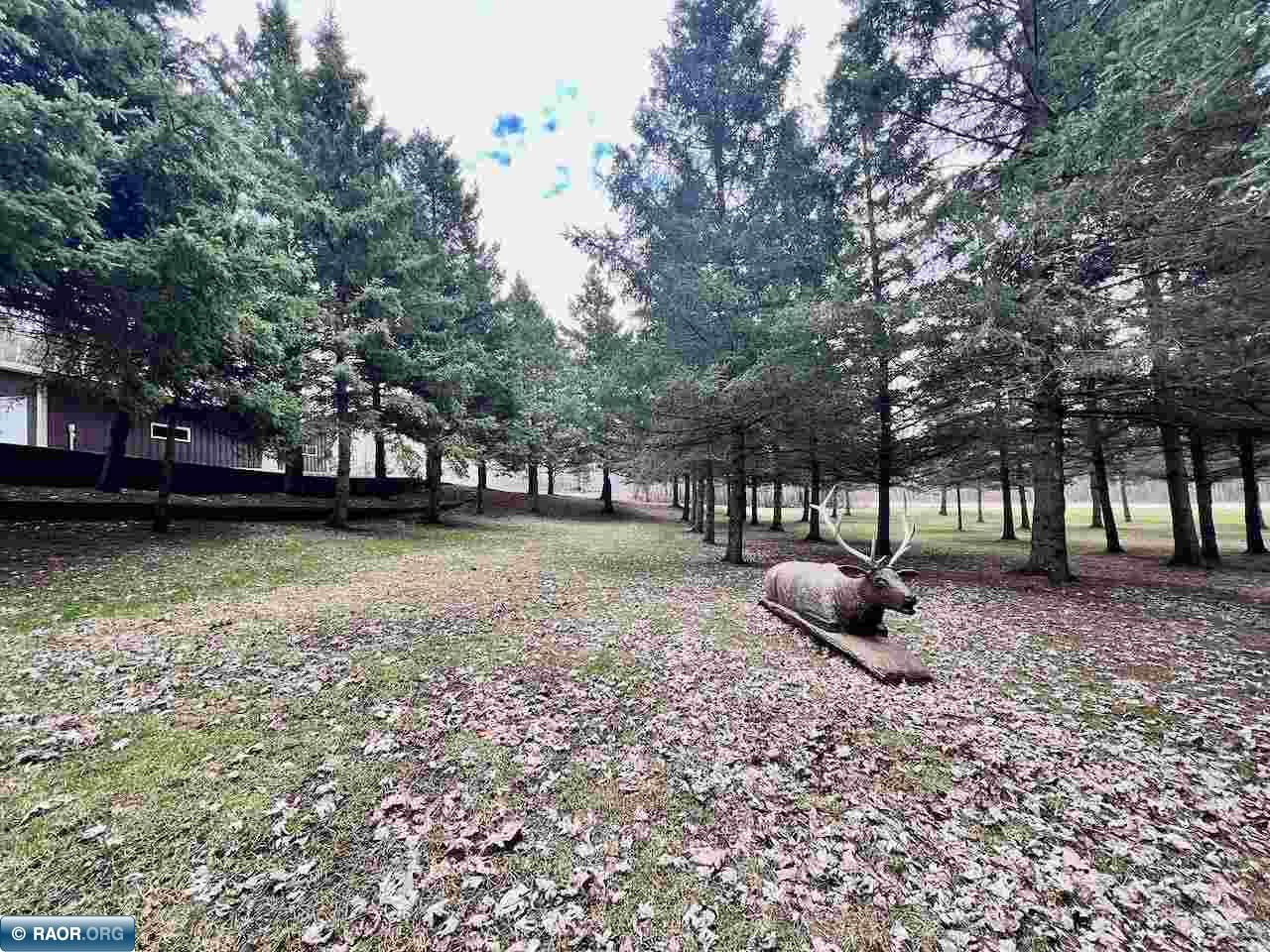 10261 Wien Rd Cook MN 55723 149844 image41