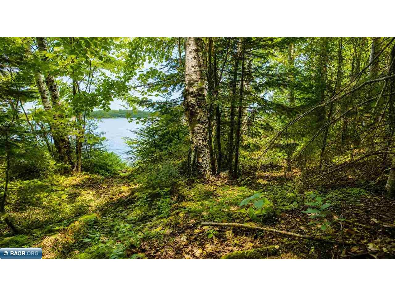 10439 Dark Lake Road Britt MN 55710 - Dark Lake 150391 image22