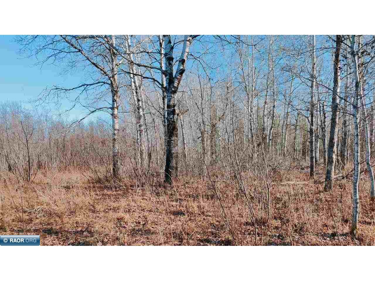 10478 Leander Road Angora MN 55703 - Alango Creek 149678 image28