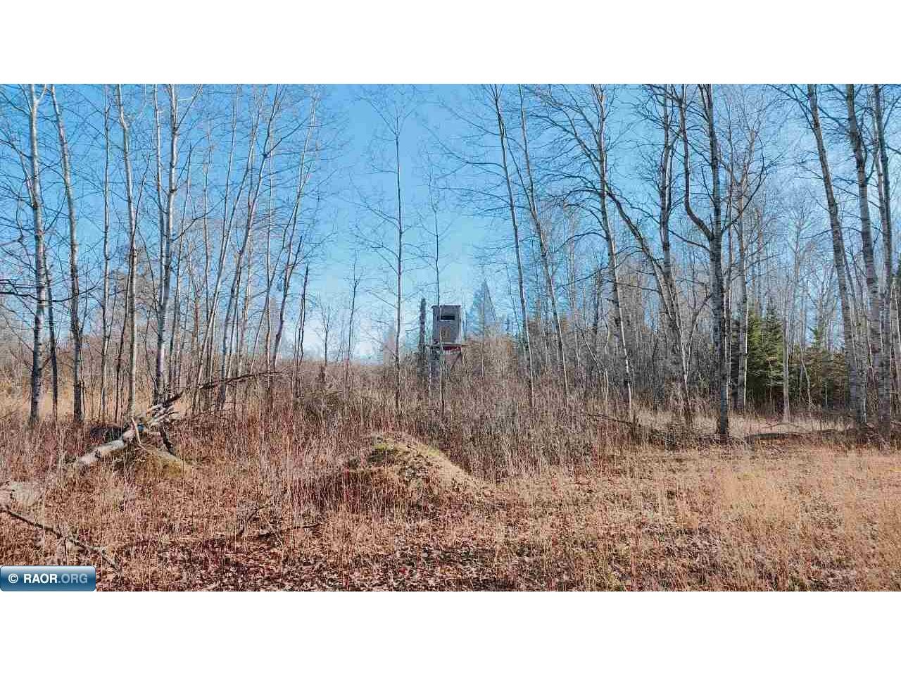 10478 Leander Road Angora MN 55703 - Alango Creek 149678 image29