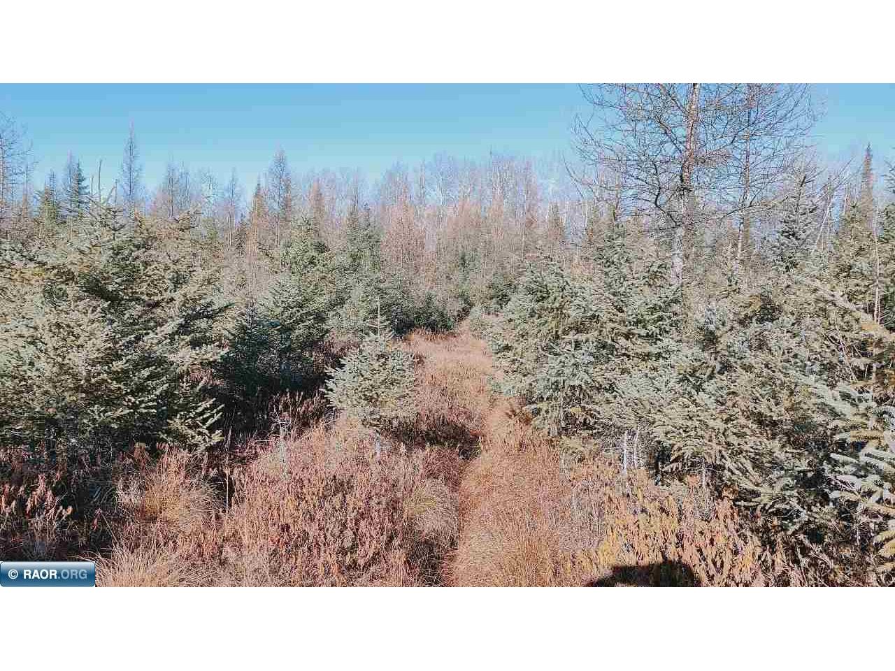 10478 Leander Road Angora MN 55703 - Alango Creek 149678 image30