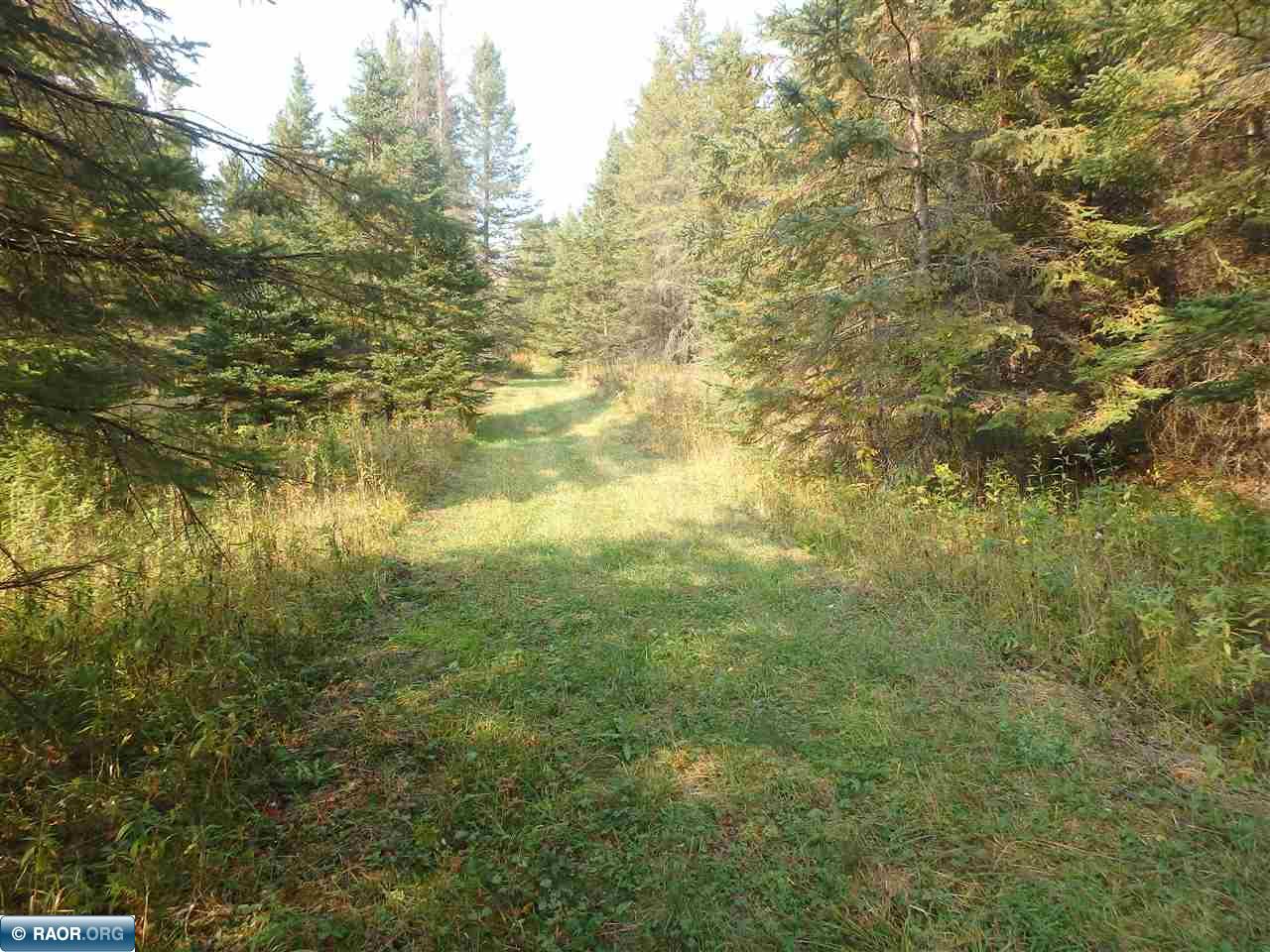 10705 Hwy 65 Gheen MN 55771 - Little Fork 147326 image42