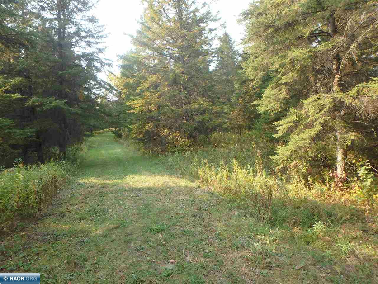 10705 Hwy 65 Gheen MN 55771 - Little Fork 147326 image43