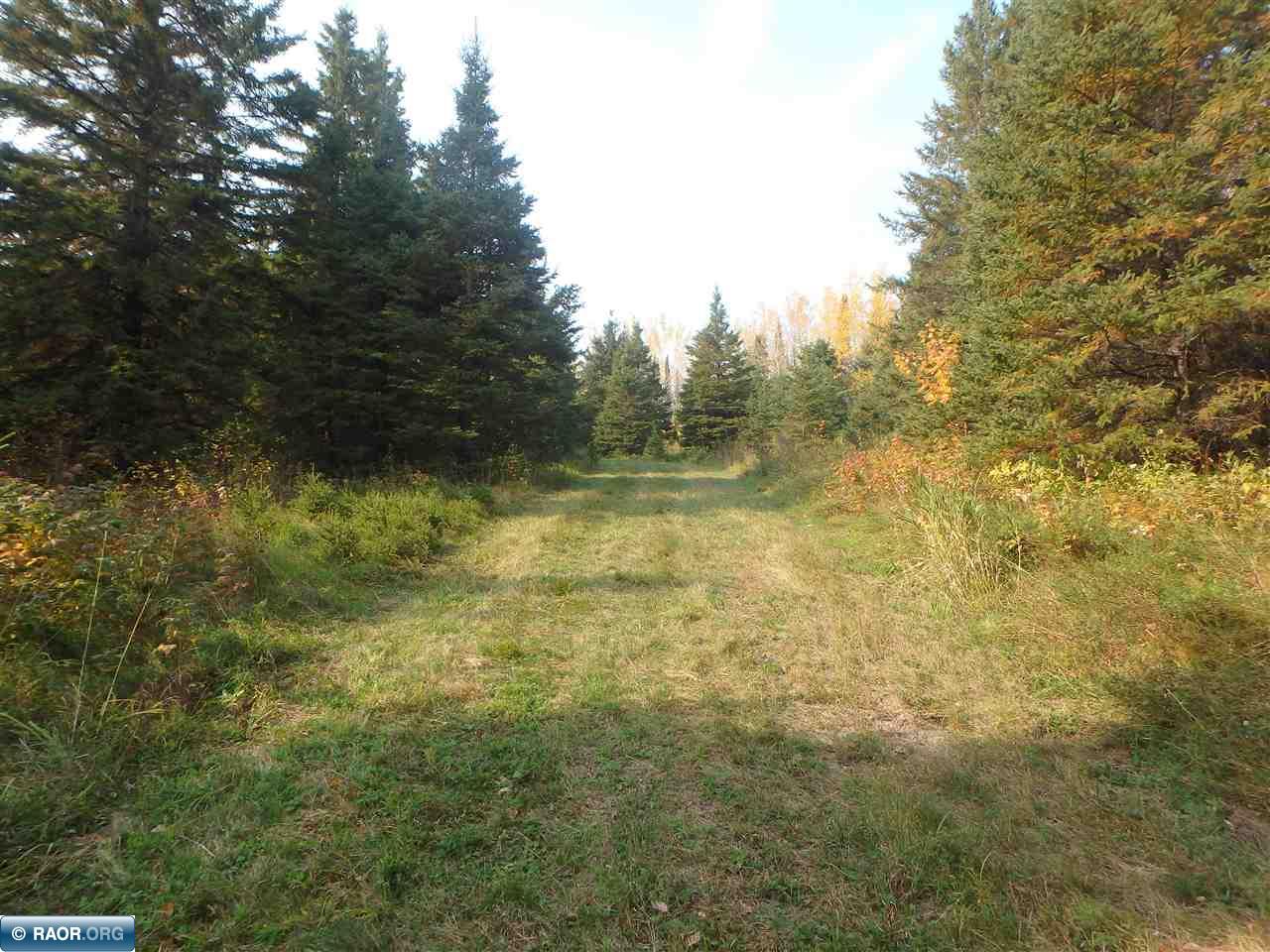 10705 Hwy 65 Gheen MN 55771 - Little Fork 147326 image44