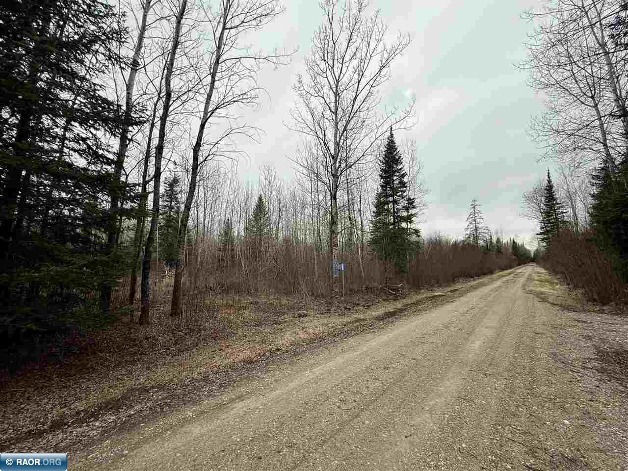 10801 Town Road 69 Gheen MN 55771 149823 image1