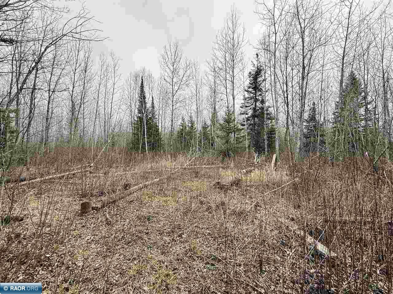 10801 Town Road 69 Gheen MN 55771 149823 image3
