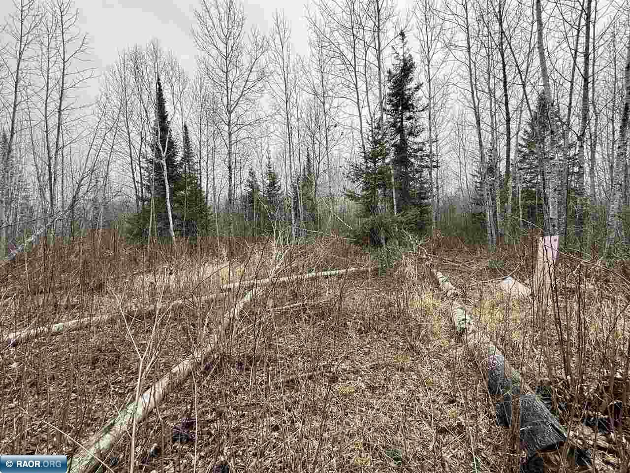 10801 Town Road 69 Gheen MN 55771 149823 image4