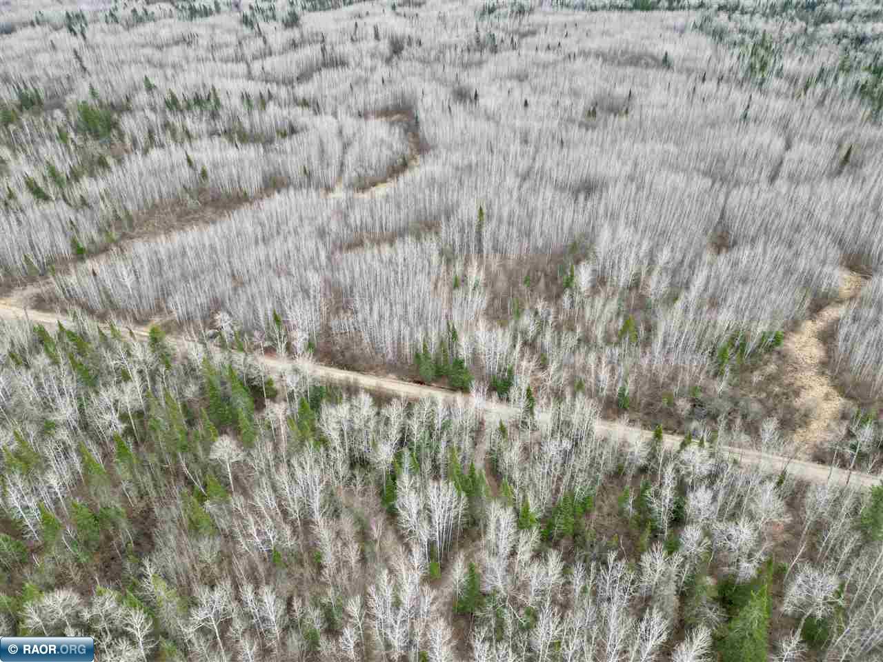10801 Town Road 69 Gheen MN 55771 149823 image6