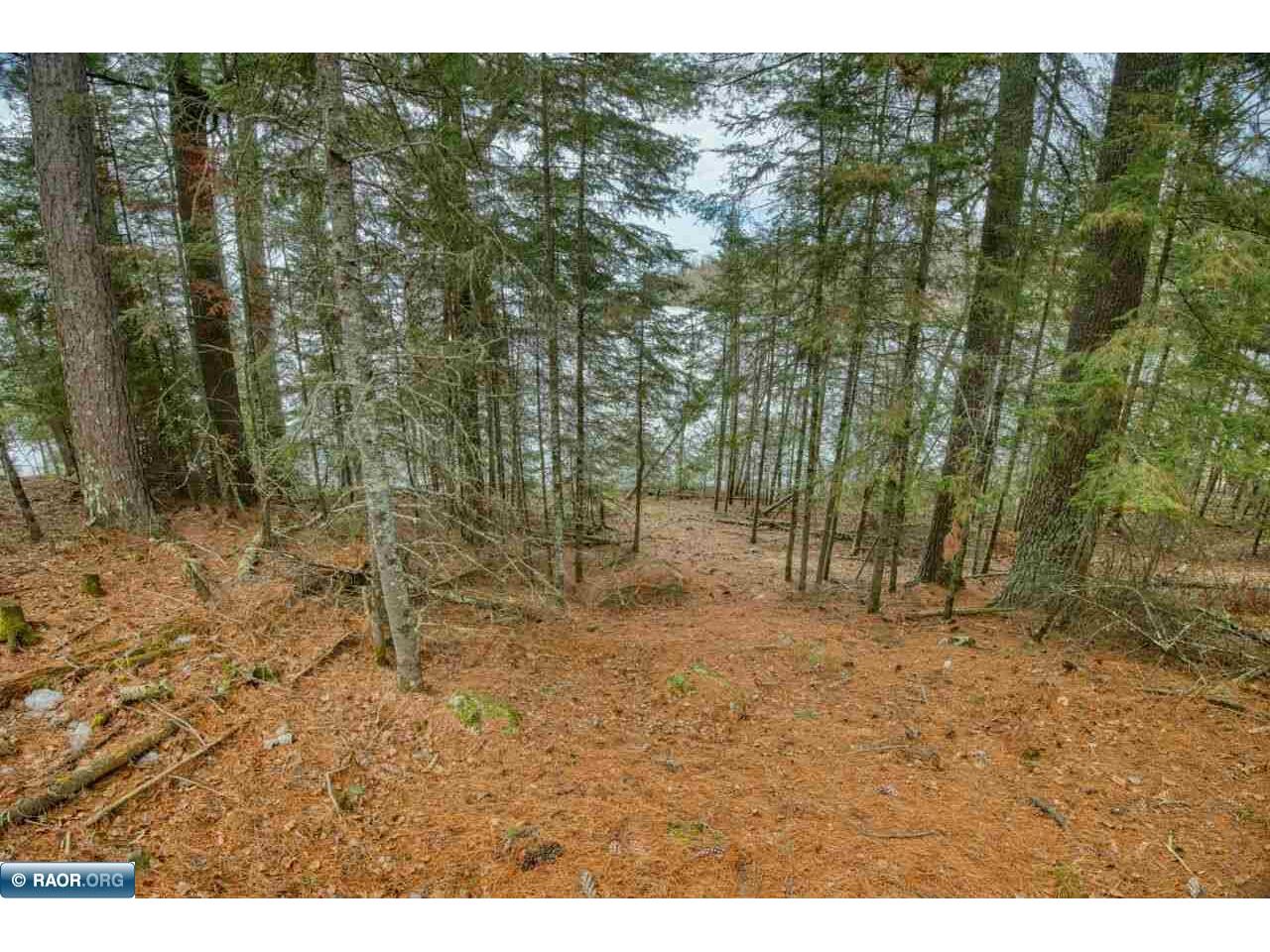 10894 Bessette Rd Orr MN 55771 - Pelican Lake 149673 image17