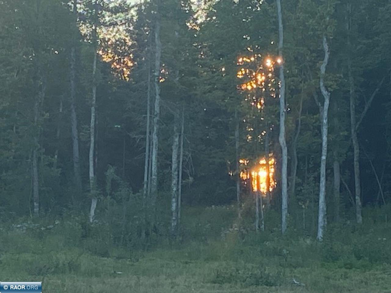 10943 Hwy 23 - Parcel 4 Orr MN 55771 - Pelican 149059 image4