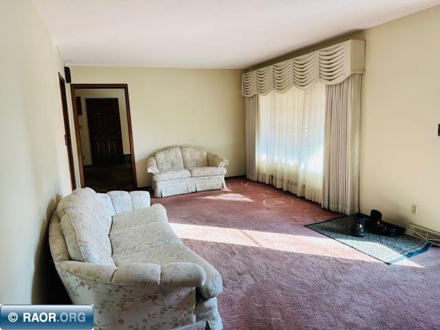 1102 S 12th St. Virginia MN 55792 149568 image2