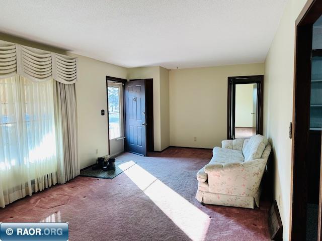 1102 S 12th St. Virginia MN 55792 149568 image3