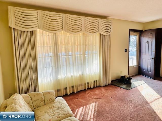 1102 S 12th St. Virginia MN 55792 149568 image4