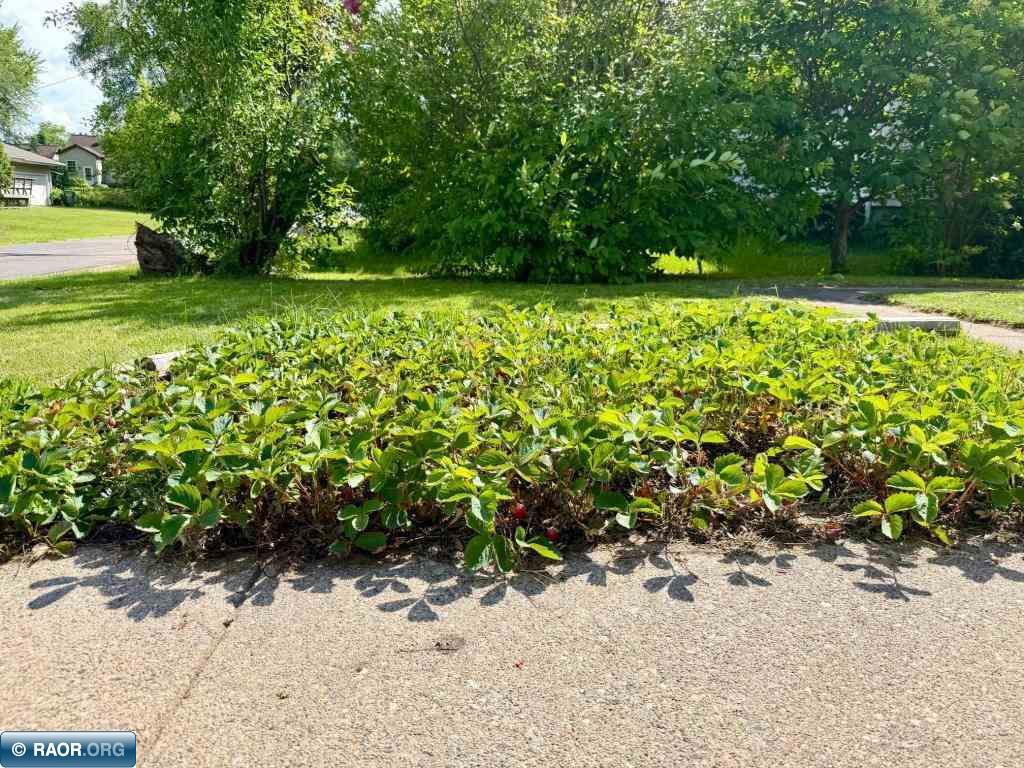 111 3rd Ave N Kelly Lake MN 55746 150244 image39