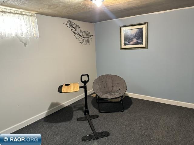 1119 S 12th St. Virginia MN 55792 150150 image17