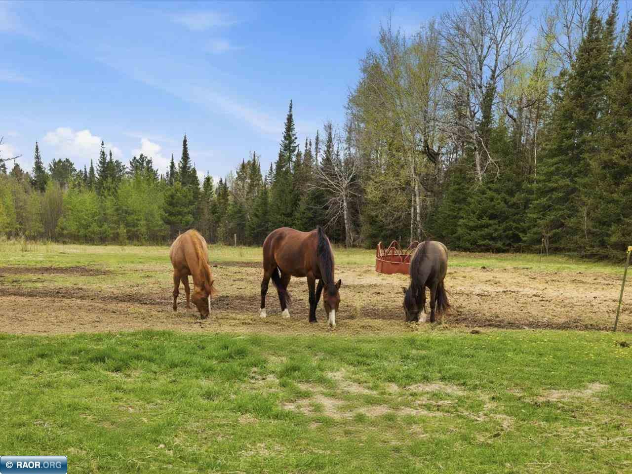 11568 Maras Rd Hibbing MN 55746 150022 image49