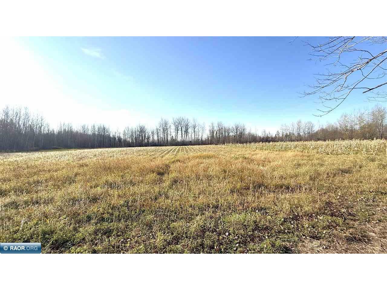 11680 Co Rd 59 Gheen MN 55771 149234 image16