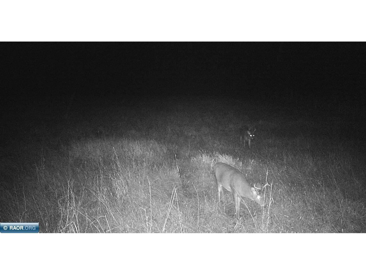 11680 Co Rd 59 Gheen MN 55771 149234 image21