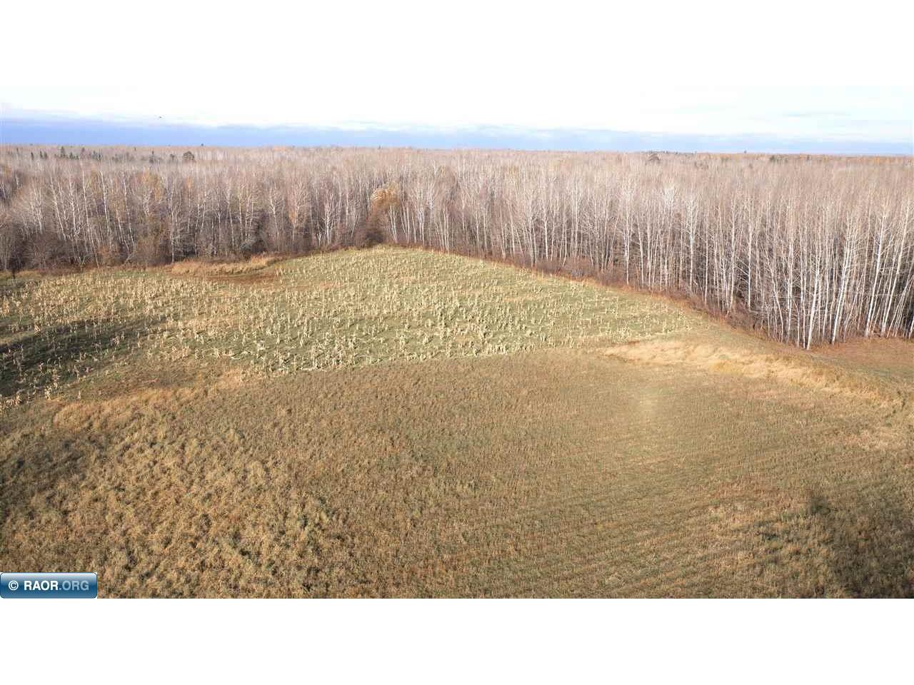 11680 Co Rd 59 Gheen MN 55771 149234 image5