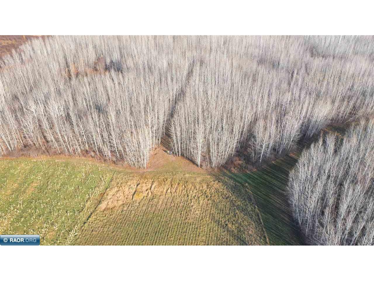 11680 Co Rd 59 Gheen MN 55771 149234 image8