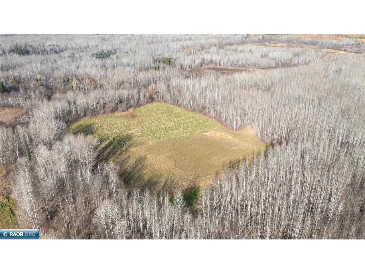 11680 Co Rd 59 Gheen MN 55771 149689 image1