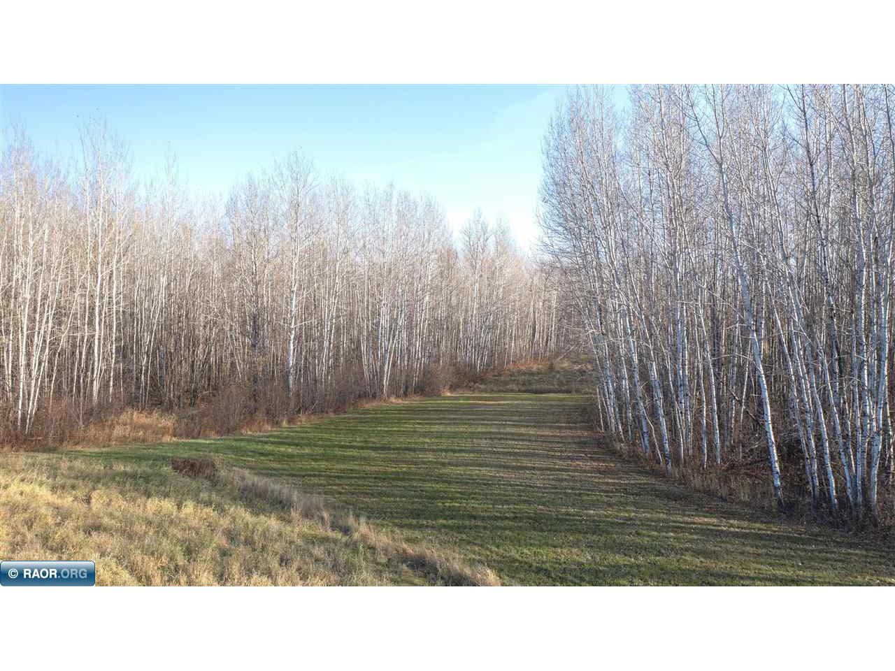 11680 Co Rd 59 Gheen MN 55771 149689 image10