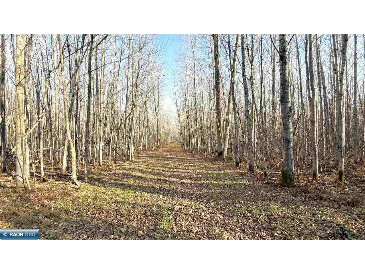 11680 Co Rd 59 Gheen MN 55771 149689 image11