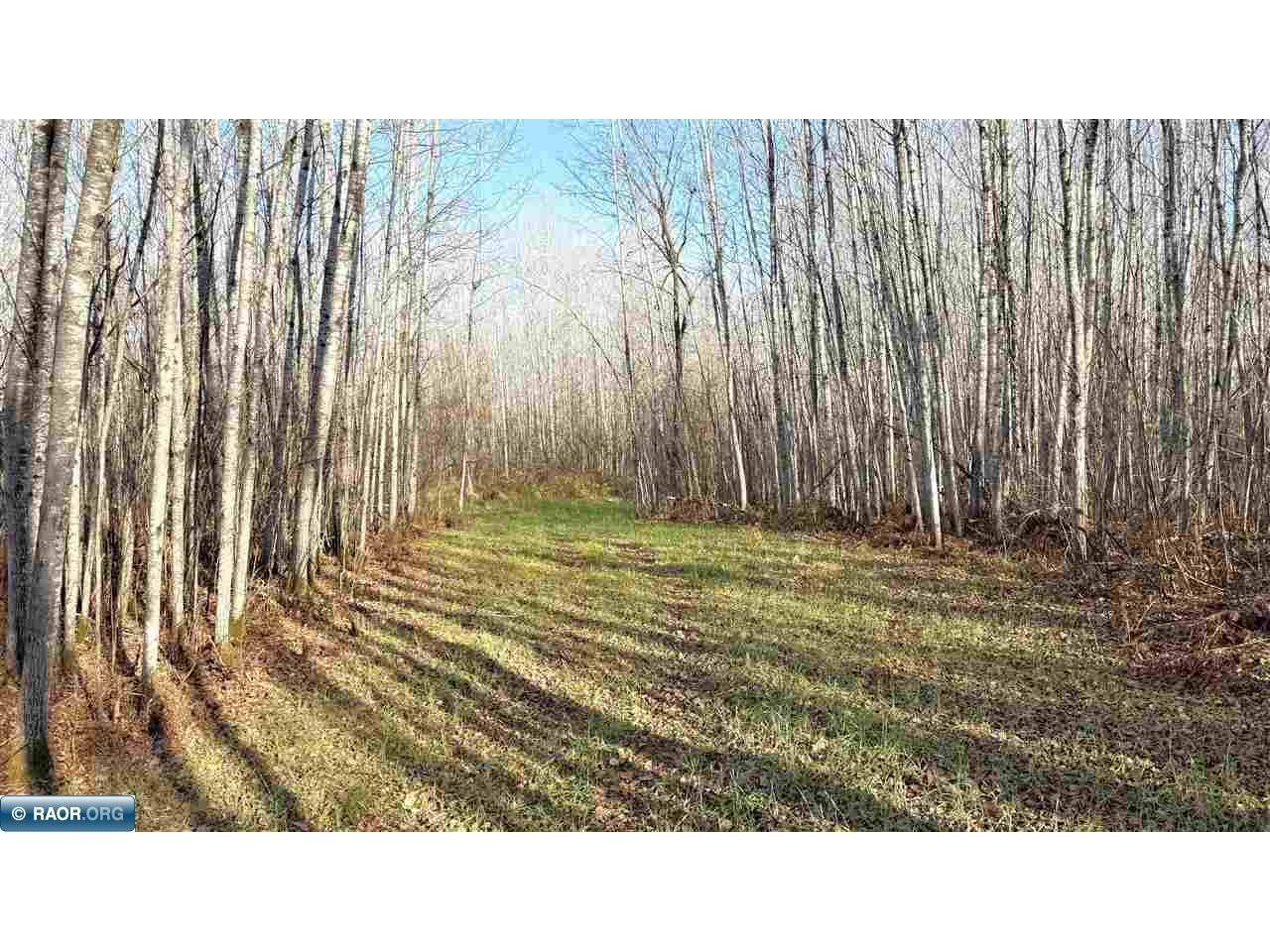 11680 Co Rd 59 Gheen MN 55771 149689 image12