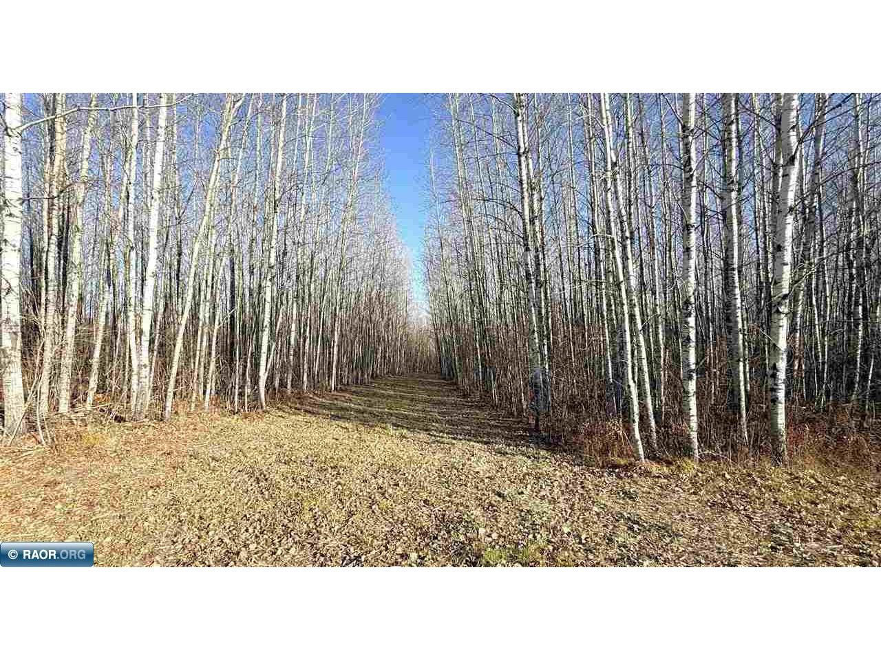 11680 Co Rd 59 Gheen MN 55771 149689 image15