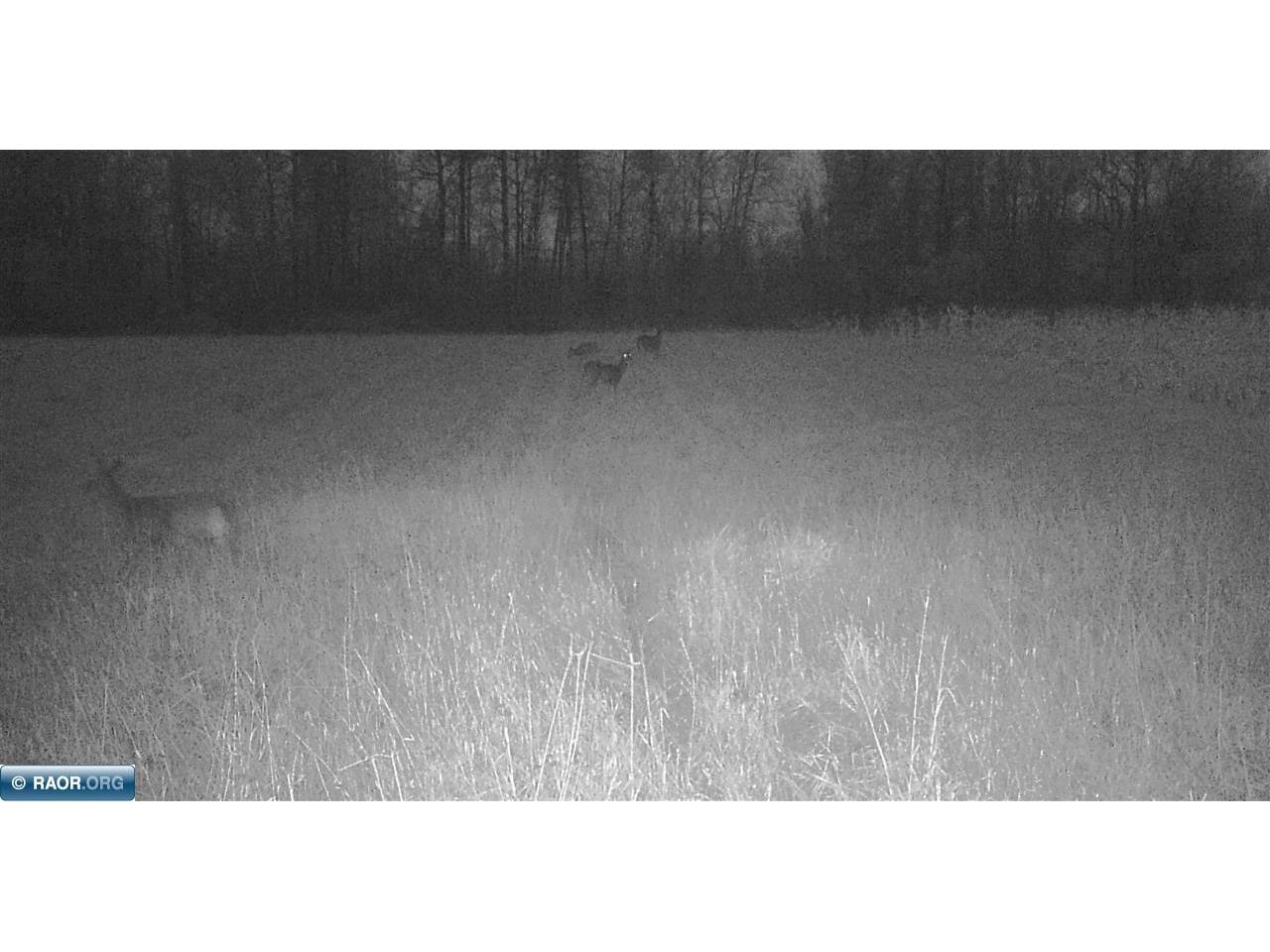 11680 Co Rd 59 Gheen MN 55771 149689 image22