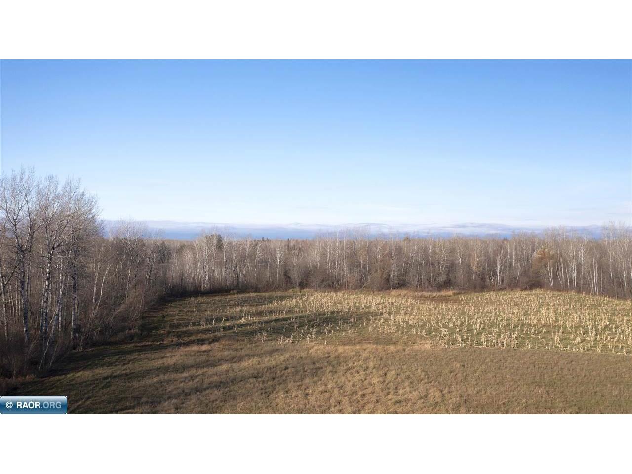 11680 Co Rd 59 Gheen MN 55771 149689 image6