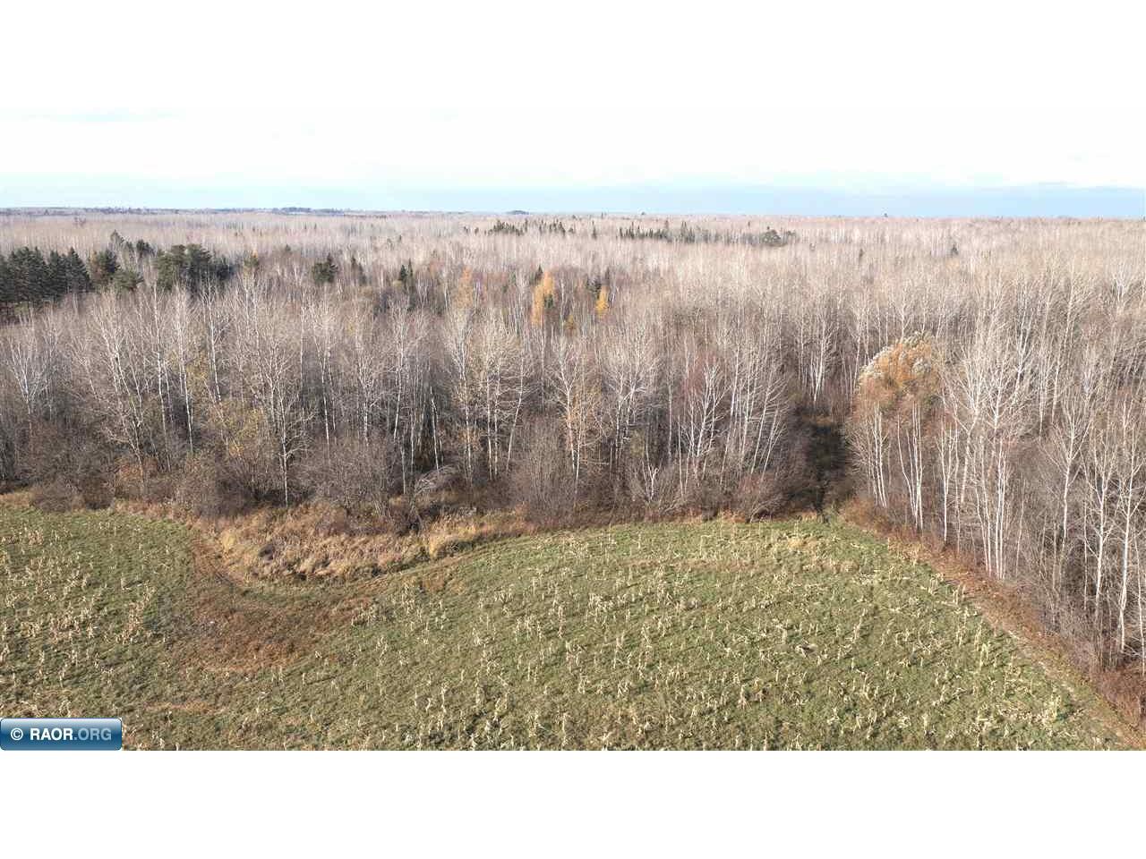 11680 Co Rd 59 Gheen MN 55771 149689 image9