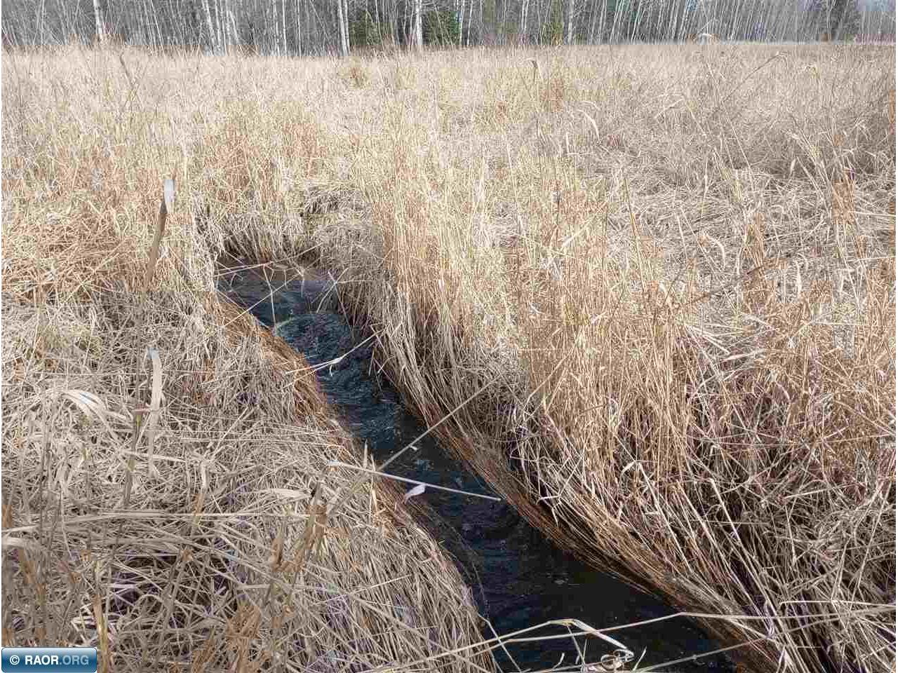 11879 Townline Rd Hibbing MN 55746 149417 image12