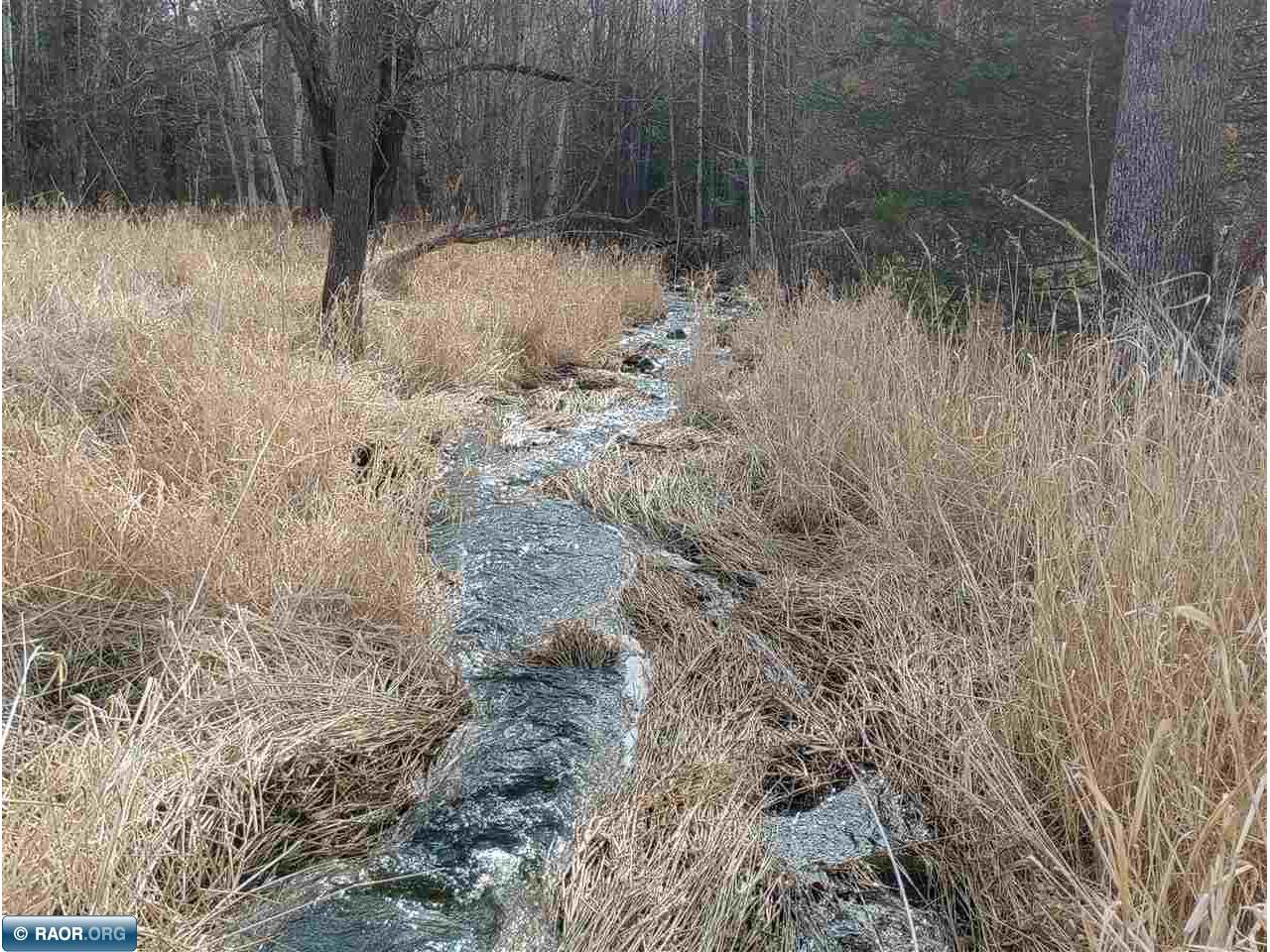 11879 Townline Rd Hibbing MN 55746 149417 image13