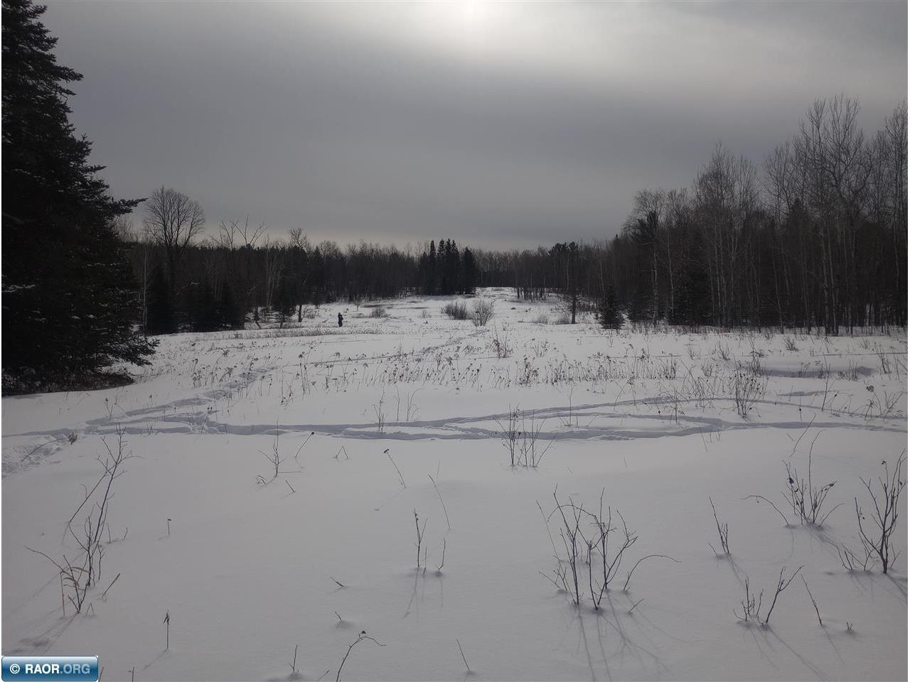 11879 Townline Rd Hibbing MN 55746 149417 image14