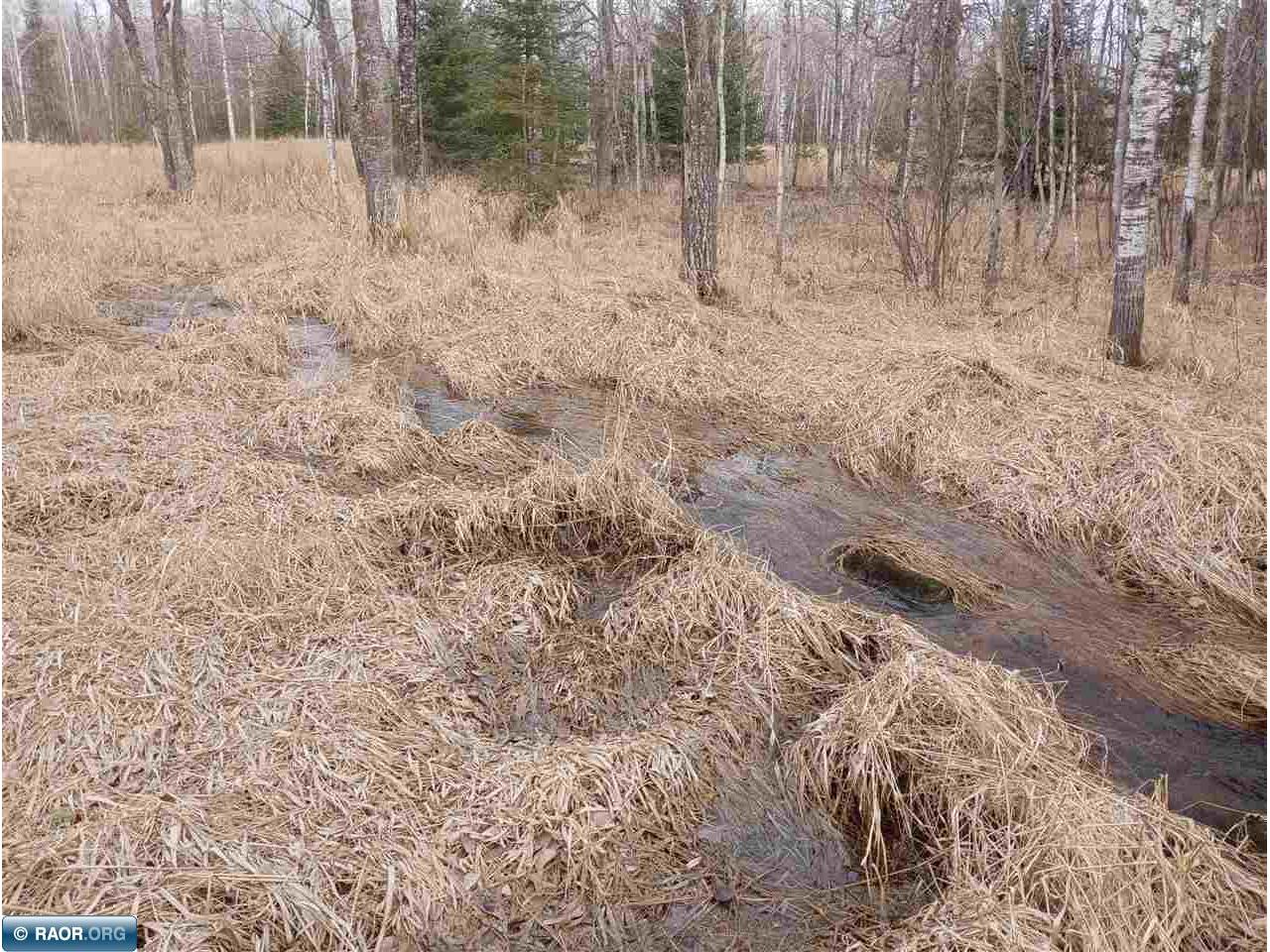 11879 Townline Rd Hibbing MN 55746 149417 image9