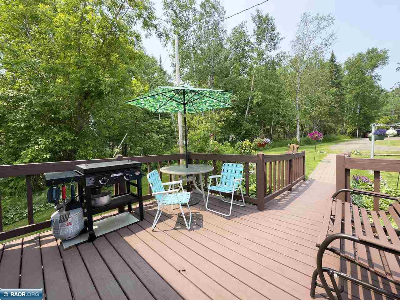 1198 W Mink Cotton MN 55724 - Cameron 148575 image16