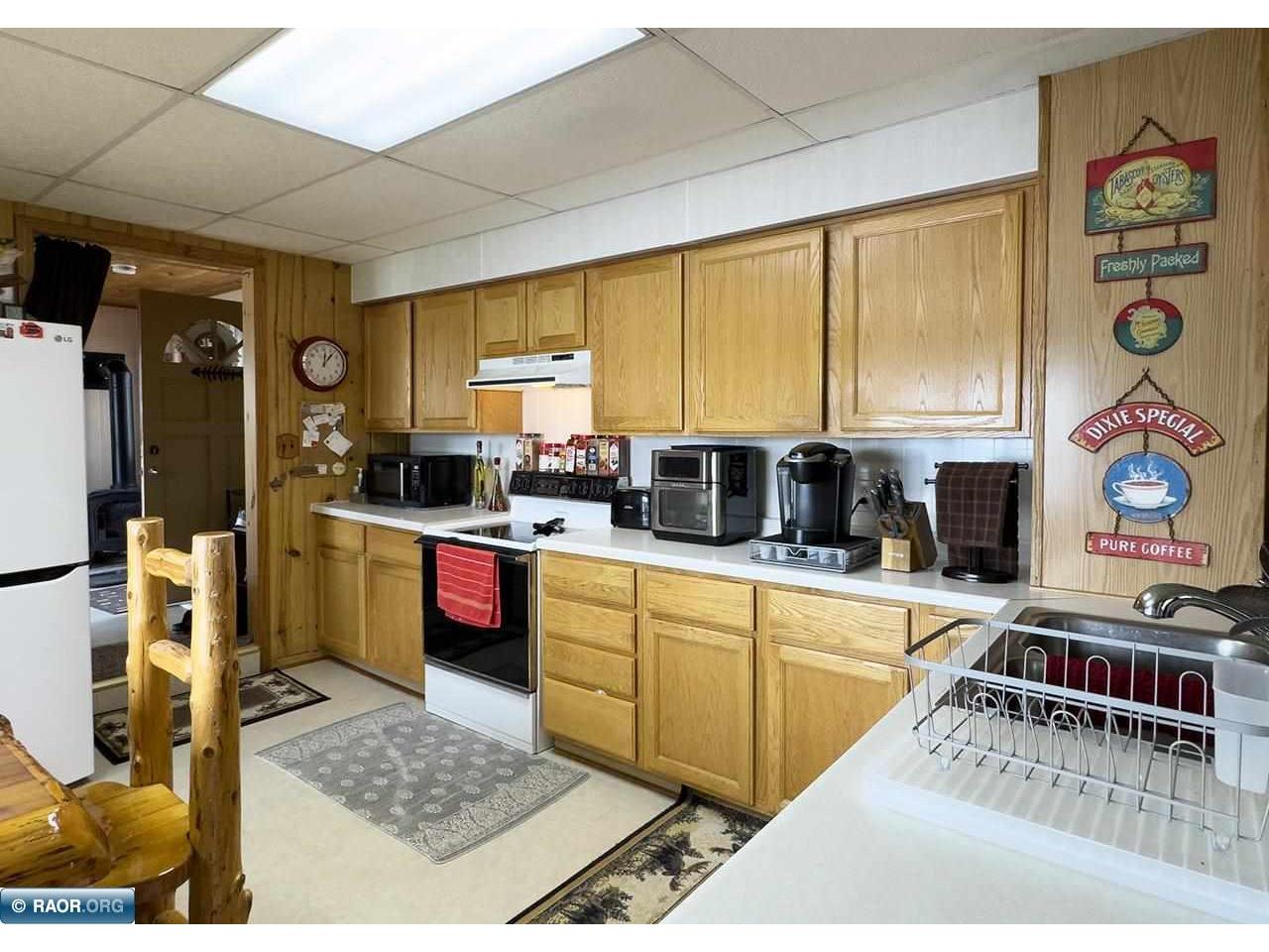 1198 W Mink Cotton MN 55724 - Cameron 148575 image7