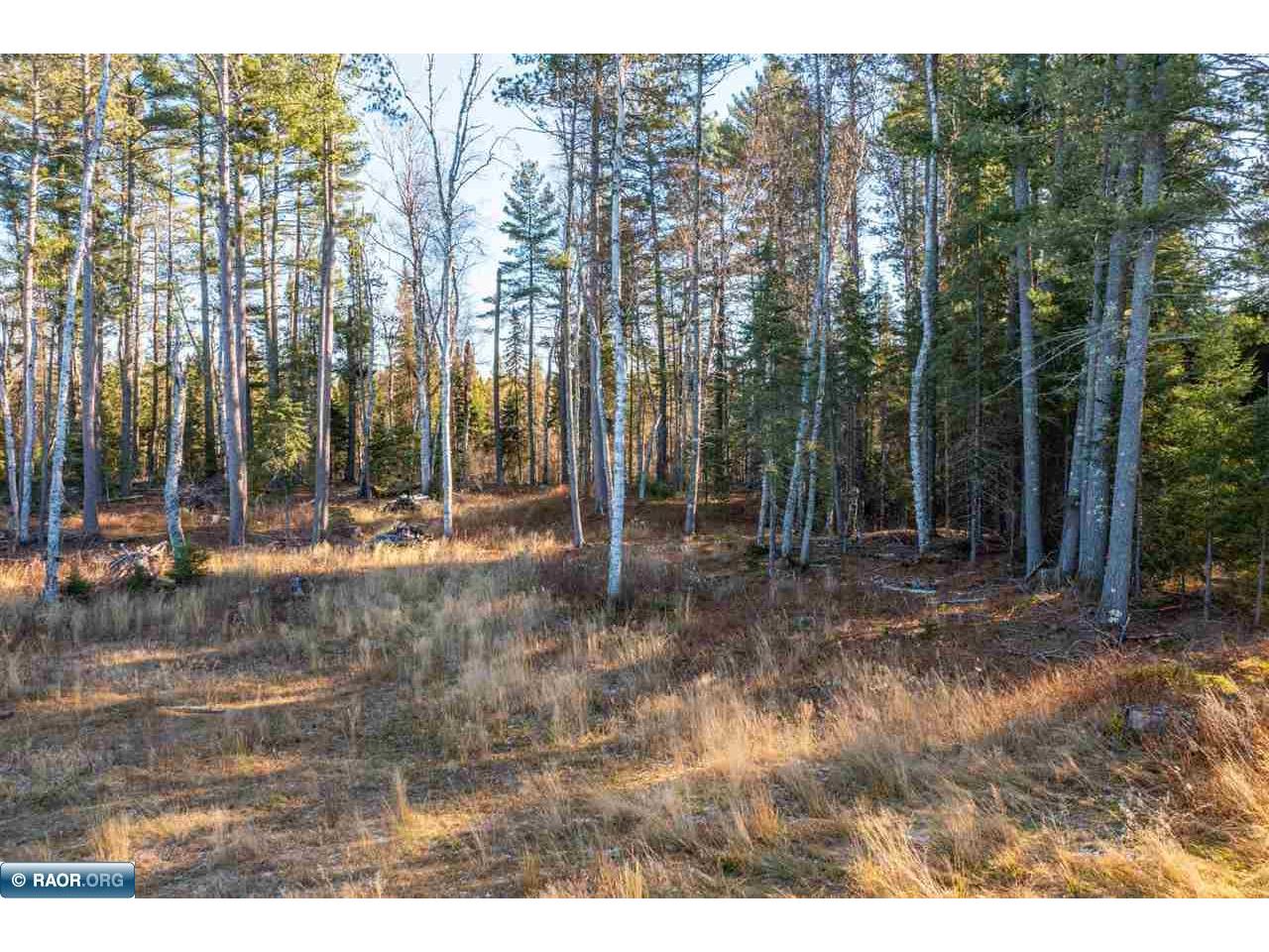 1346 Bear Head State Park Rd Ely MN 55731 149313 image18