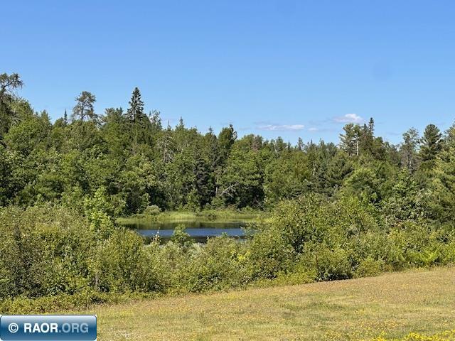 1383 Kelly Trail Isabella MN 55607 - Stony River 149599 image16