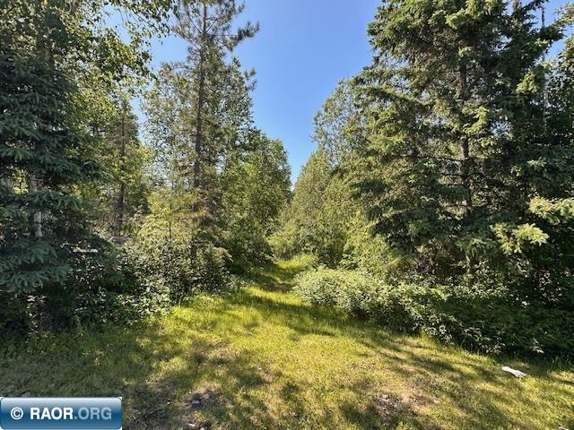 1383 Kelly Trail Isabella MN 55607 - Stony River 149599 image29