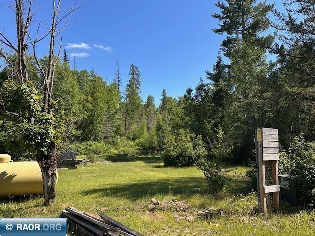 1383 Kelly Trail Isabella MN 55607 - Stony River 149599 image9