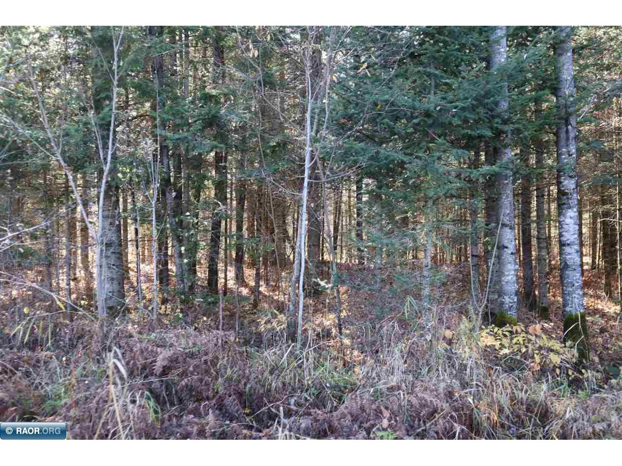 15939 County Road 536 Nashwauk MN 55769 149148 image40