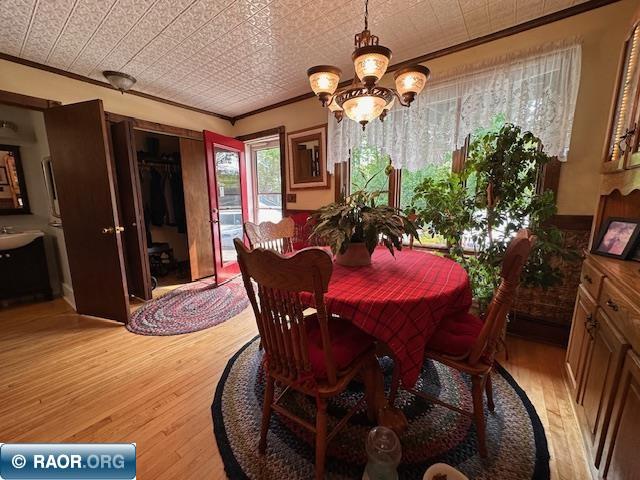 1601 W 4th Ave International Falls MN 56649 148440 image7