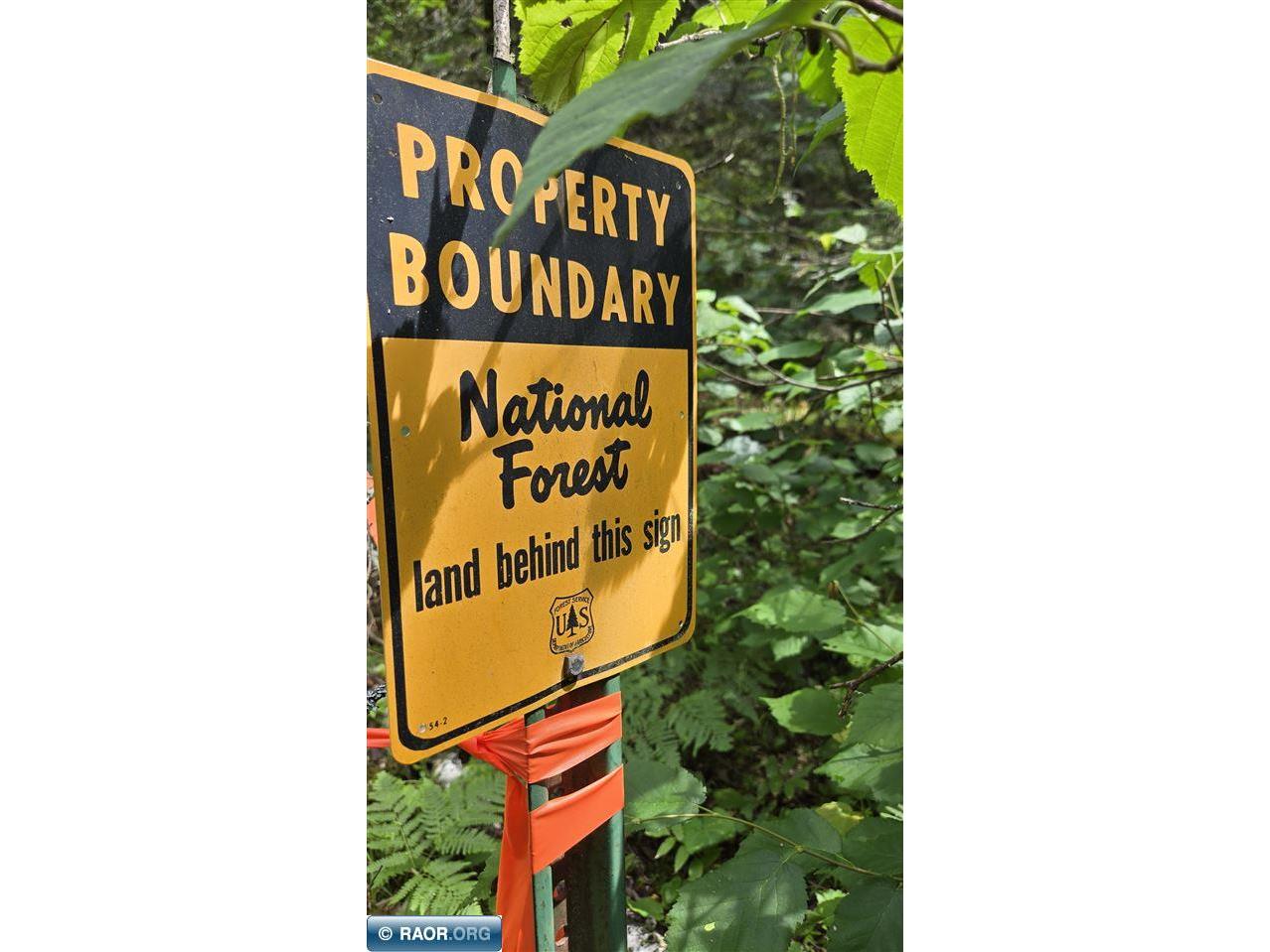 163 Rollick Creek Crane Lake MN 55725 - Crane 148706 image13